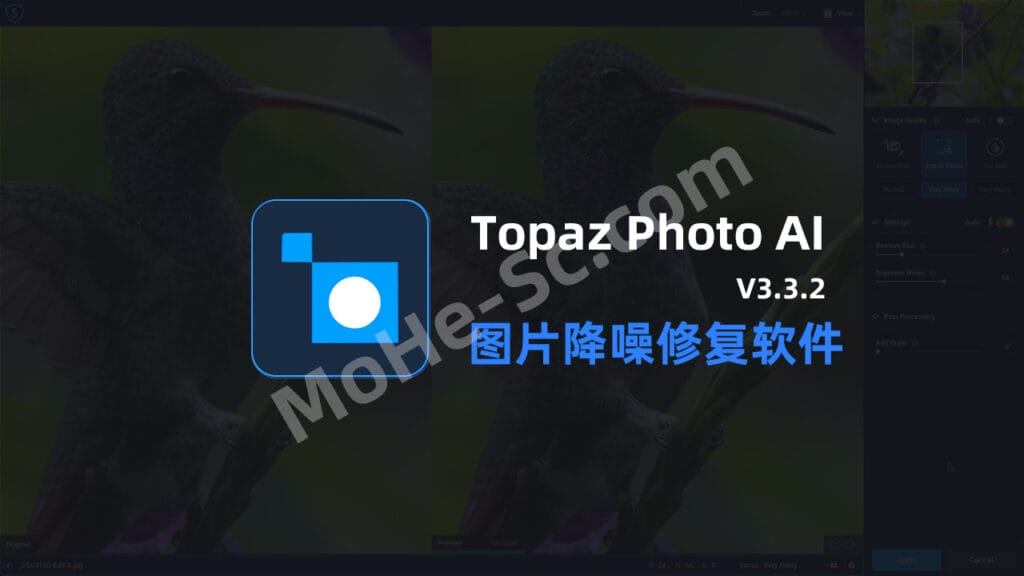 Topaz Photo AI v3.3.2 Beta Portable 智能图片降噪软件 AI填充、AI扩图、高清修复 英文便携版