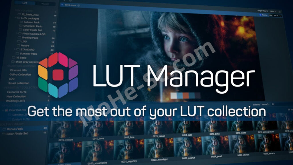 AE PR LUTS 视频调色预设预览脚本 LUTs Manager For AE/PR CC 2021